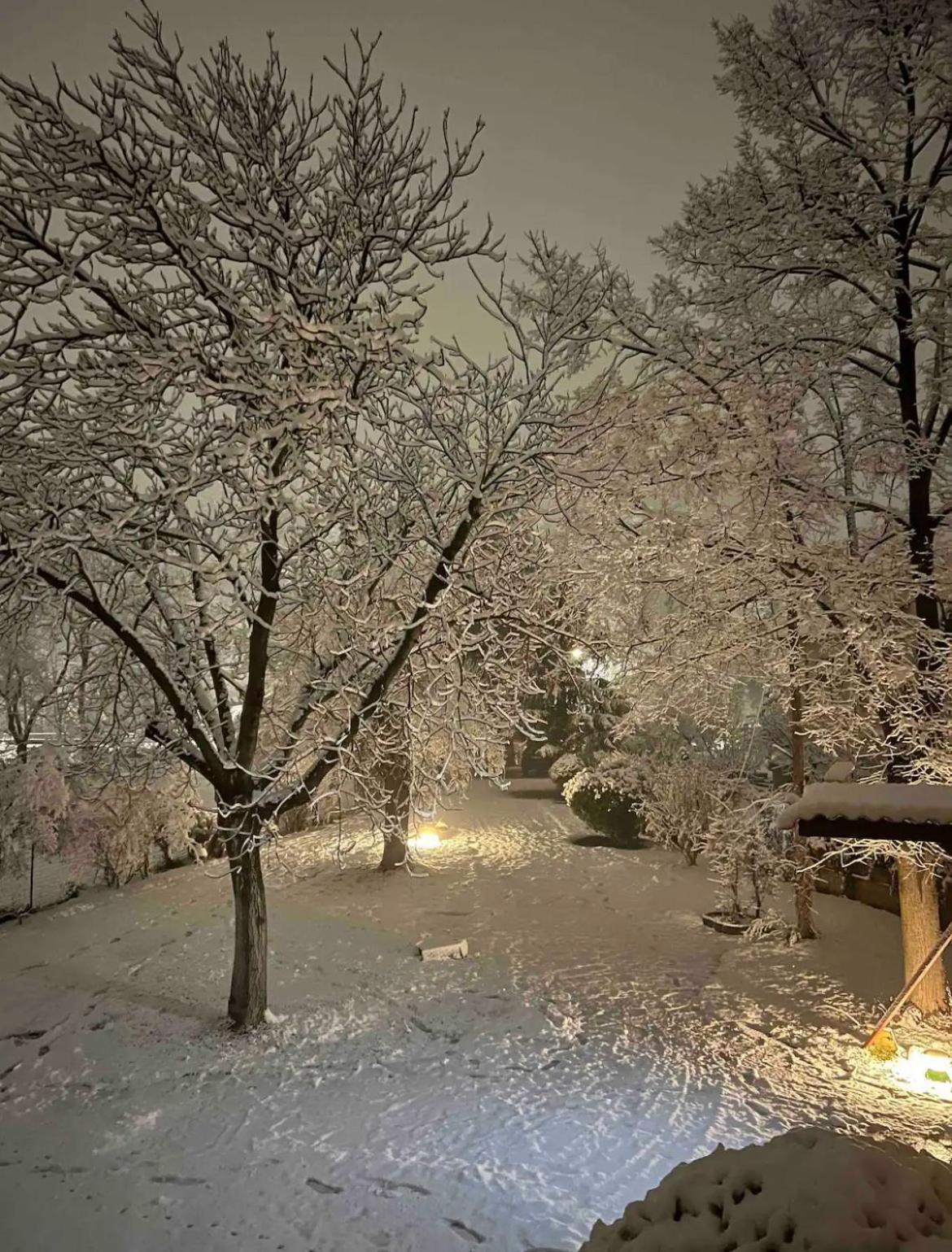 Villa Alberto Сульмона Экстерьер фото