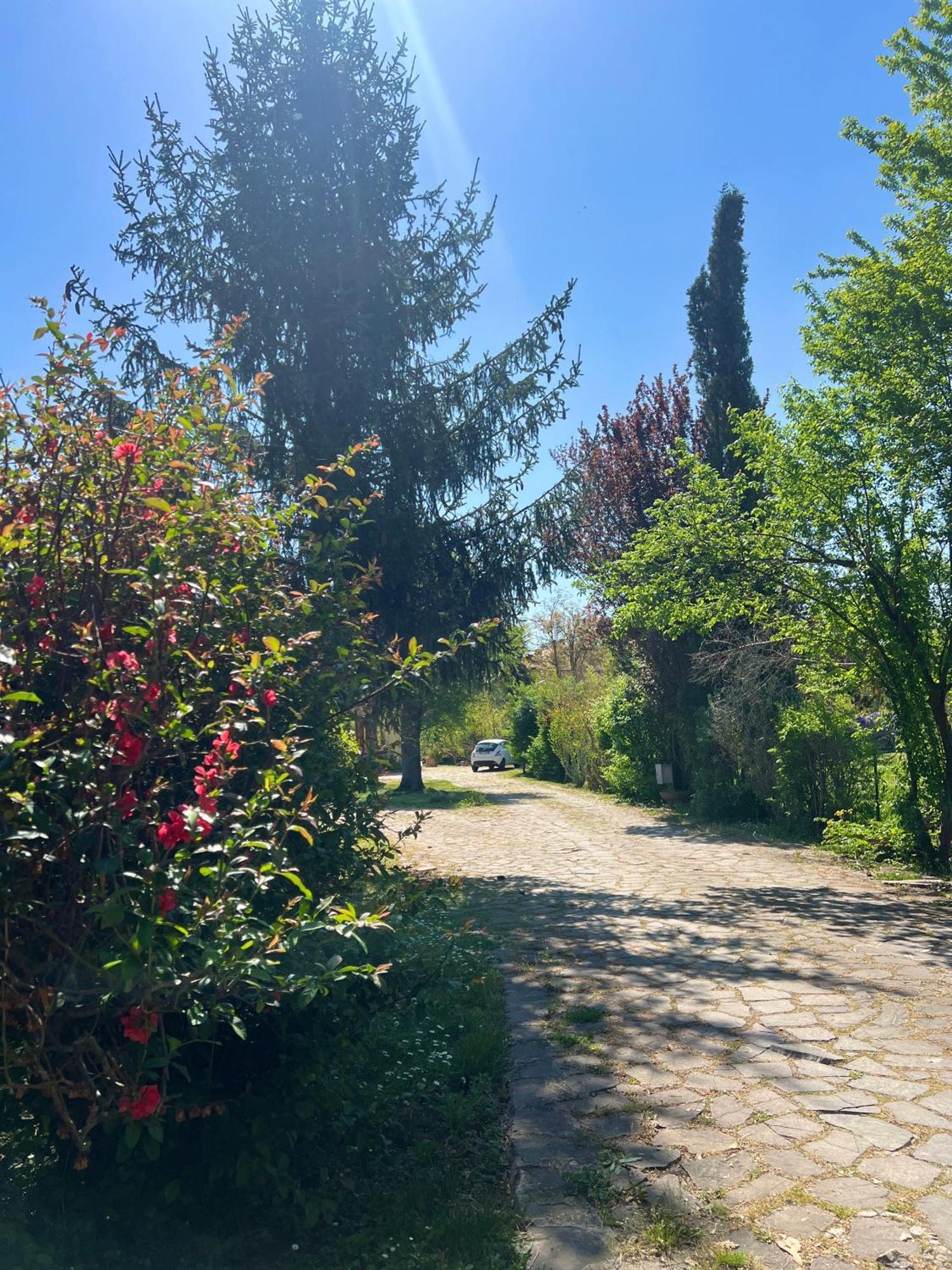 Villa Alberto Сульмона Экстерьер фото